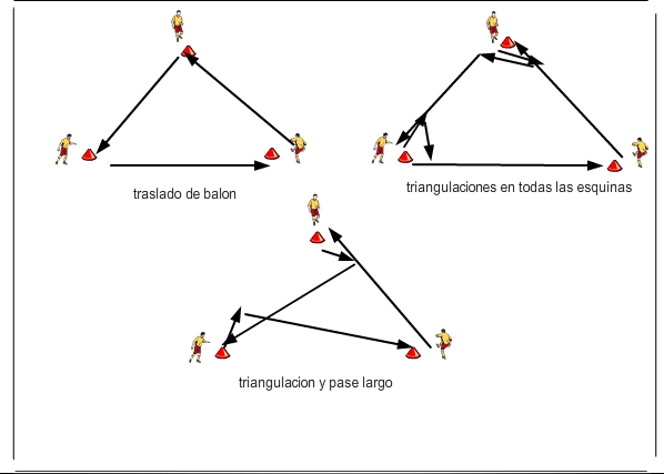 fisico-tecnico triangulo